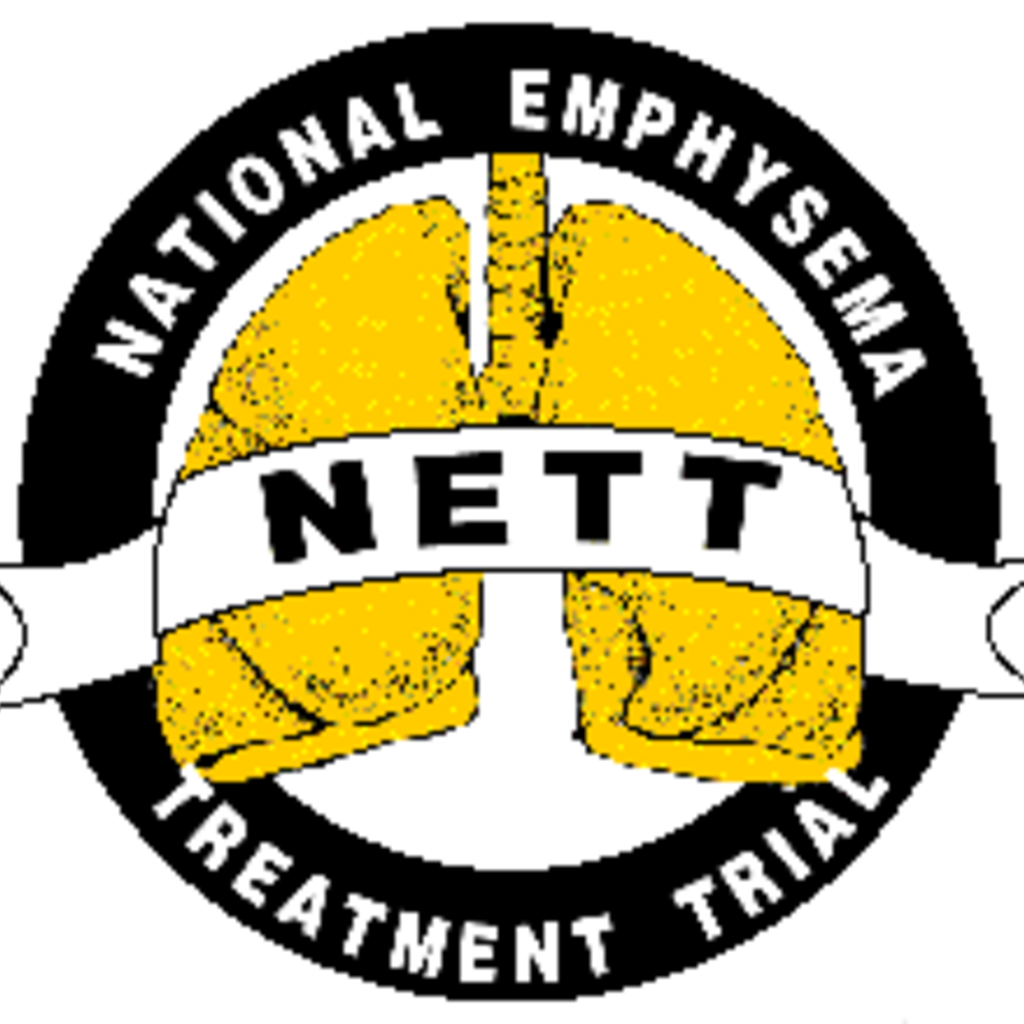 NETT Logo image